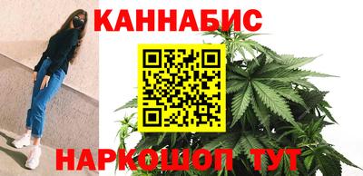 крисы Краснознаменск