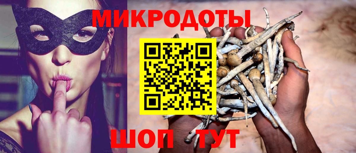 Галлюциногенные грибы Psilocybe Екатеринбург